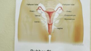 Birds & Bees & Thick Ds - Randy Stepdaddy P-O-V XXX