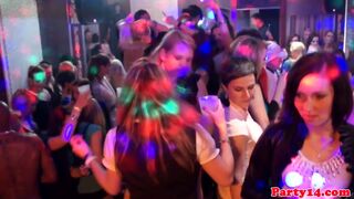 Party girls in stockings are naturals at sucking shaft