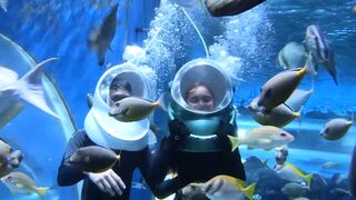 Round ass Thai GF sex at home after a day of playing with fish