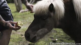 Pretty tbabe plowed & facialized by husbands co-worker