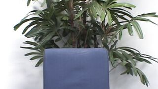 Sexy teen twins interviewed