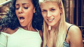 Sweet Cat sits on Noe Milk's face